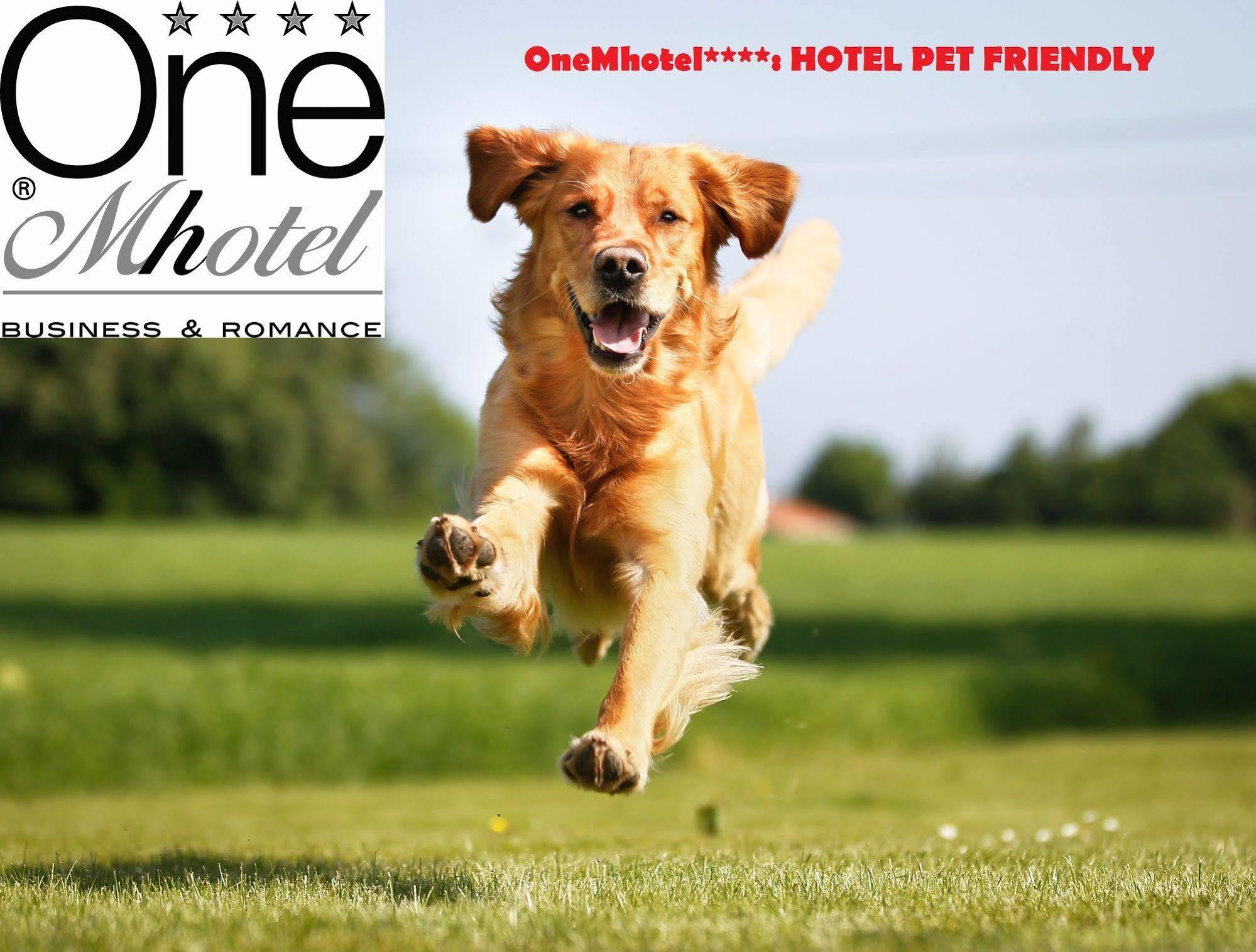 Onemhotel San Paolo  المظهر الخارجي الصورة
